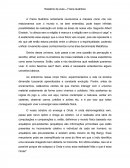 "Quem Somos Nós?" (relatório sobre o filme)