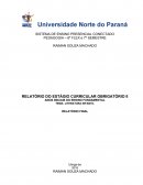 RELATÓRIO DO ESTÁGIO CURRICULAR OBRIGATÓRIO II ANOS INICIAIS DO ENSINO FUNDAMENTAL