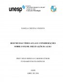 RESUMO DAS VÍDEO-AULAS E CONSIDERÁÇOES SOBRE O FILME FREUD ALÉM DA ALMA