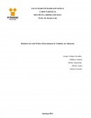 Relatório da Aula Prática: Determinação de Umidade em Alimentos