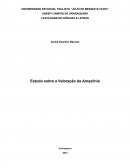 Estudo sobre a Valoração da Amazônia