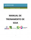 Manual de Soja