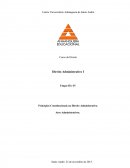 Princípios Constitucionais do Direito Administrativo e Atos Administrativos