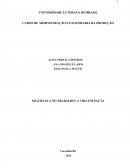SEGURANÇA NO TRABALHO: A VIDA EM PAUTA