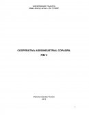 COOPERATIVA AGROINDUSTRIAL COPAGRIL PIM V Projeto integrado multidisciplinar V para obtenção de titulo no Curso Superior em Gestão Ambiental,