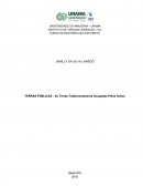TERRAS PÚBLICAS - TERRAS OCUPADAS TRADICIONALMENTE PELOS ÍNDIOS