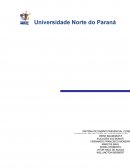 Organização de Pessoa e trabalho