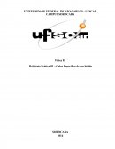 Relatório Fisica - Calor especifico de um sólido