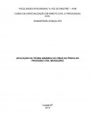 APLICAÇÃO DA TEORIA DINÂMICA DO ÔNUS DA PROVA NO PROCESSO CIVIL BRASILEIRO