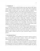 Seguridade Social, Política Nacional de Saúde e o Centro de Atenção Integral à Saúde da Mulher