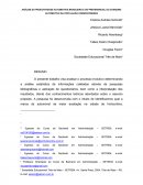 ANÁLISE DA PRODUTIVIDADE AUTOMOTIVA BRASILEIRA E DO PREFERENCIAL DO CONSUMO AUTOMOTIVO DA POPULAÇÃO HORIZONTINESES