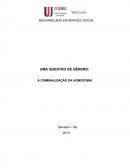 UMA QUESTÃO DE GÊNERO: A CRIMINALIZAÇÃO DA HOMOFOBIA