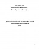 Estudo sobre implantação de um sistema ERP e banco de dados integrado para a empresa Aerea