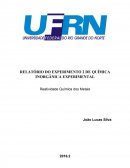Relatório Química Inorgânica Experimental - Reatividade Química dos Metais