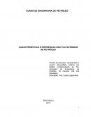 CARACTERÍSTICAS E DIFERENÇAS DAS PLATAFORMAS DE PETRÓLEO