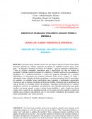 DIREITO DO TRABALHO: UMA BREVE ANÁLISE TEÓRICA EMPÍRICA