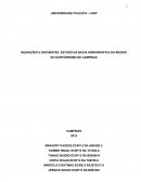 INUDAÇÕES E ENCHENTES: ESTUDO DA BACIA HIDROGRÁFICA DA REGIÃO DO KARTÓDROMO DE CAMPINAS