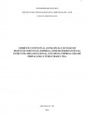 AMBIENTE CONTEXTUAL, ESTRATÉGIA E ESTÁGIO DE DESENVOLVIMENTO DA EMPRESA COMO DETERMINANTES DA ESTRUTURA ORGANIZACIONAL: ESTUDO DA EMPRESA CREARE PROPAGANDA E PUBLICIDADE LTDA.