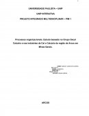 Processos organizacionais. Estudo baseado no Grupo Gecal Calcário e nas indústrias de Cal e Calcário da região de Arcos