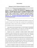 Diagnóstico do Setor Produtivo e da Comercialização da Castanha-do-Brasil (Bertholletia excelsa Bonpl.) no Território Sul do Amapá.