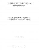 ESTUDO TERMODINÂMICO AO PROCESSO TERMOQUÍMICO DE NITRETAÇÃO GASOSA