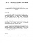 CAUSAS E POSSÍVEIS DIAGNÓSTICOS DA SINDROME DE CUSHING