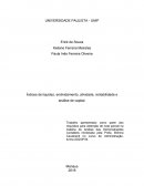 Índices de liquidez, endividamento, atividade, rentabilidade e análise de capital.