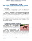 POPULAÇÕES DE AEDES AEGYPTI INFETADAS COM VIRUS DO DENGUE