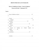 Direito Processual do Trabalho - Recurso Trabalhista em Espécie – Recurso Ordinário Recurso de Revisão – Embargo do TST