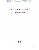 IMPORTÂNCIA DO LETRAMENTO NO PROCESSO DE ALFABETIZAÇÃO.