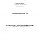 APONTAMENTOS SOBRE O INSTITUTO DA ESTABILIDADE PROVISÓRIA E SUA SUBSTITUIÇÃO POR INDENIZAÇÃO PECUNIÁRIA