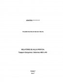 Modelo de relatório aula pratica Sistema ABO e Fator Rh