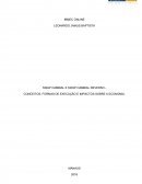 SWAP CAMBIAL E SWAP CAMBIAL REVERSO - CONCEITOS, FORMAS DE EXECUÇÃO E IMPACTOS SOBRE A ECONOMIA.