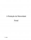 A Redução da Maioridade Penal