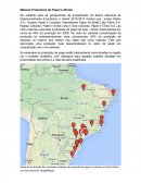 Maiores Produtores de Celulose no Brasil