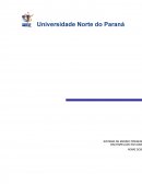 Trabalho em grupo 5 semestre de adiministração