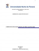 O BRINCAR NA EDUCAÇÃO INFANTIL DE TRÊS A QUATRO ANOS