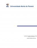 A Importância da Contabilidade e do Mercado Financeiro para a Gestão