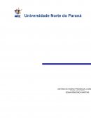 O contrato de trabalho e a legalização de empresas