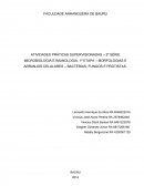 MORFOLOGIAS E ARRANJOS CELULARES – BACTÉRIAS, FUNGOS E PROTISTAS