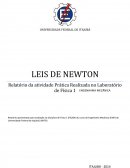 Relatório Leis de Newton