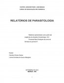 Relatórios apresentados como parte das exigências da disciplina Parasitologia