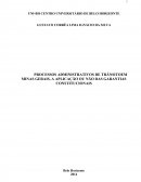 PROCESSOS ADMINISTRATIVOS DE TRÂNSITO EM MINAS GERAIS, A APLICAÇÃO OU NÃO DAS GARANTIAS CONSTITUCIONAIS