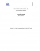 Inflação: A Variação da Cesta Básica em Captais do Brasil.