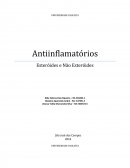 Antiinflamatórios Esteróides e Não Esteróides