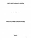 Relatorio de quimica organica