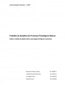 Coleta e análise de dados sobre a percepção de figuras reversíveis