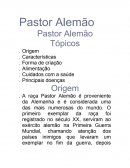 Pastor Alemão