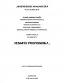 Desafio profissional 1º semestre - anhanguera