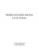 Desigualdade Social e Cultural